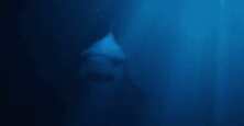 10部深海惊悚片，深海恐惧症慎点！