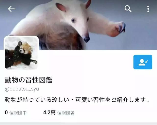 动物世界真奇妙，看了日本博主的趣味冷知识分享，忍不住笑出猪声