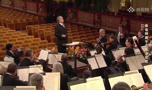 维也纳音乐会：在宁静中过节，在经典中回忆