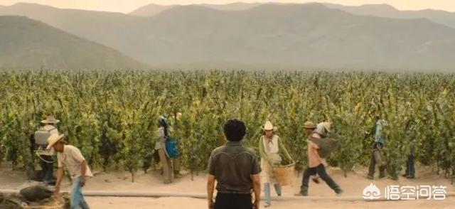 《毒枭：墨西哥》有哪些让你印象深刻的片段？