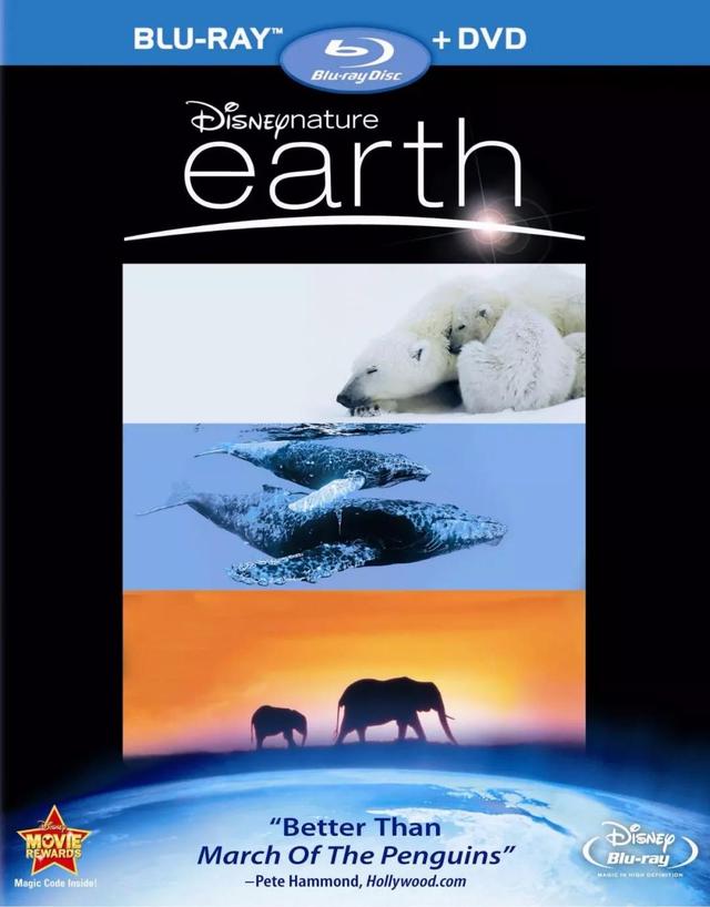 这10部高分纪录片，让孩子看到地球的“真实面目”