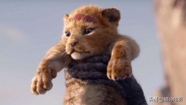 2019年动画电影，年度前10名，哪吒称王，狮子王票房夺冠