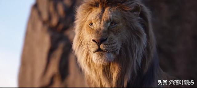 狮王争霸，这7部狮子经典电影，哪只是你喜欢的狮子？