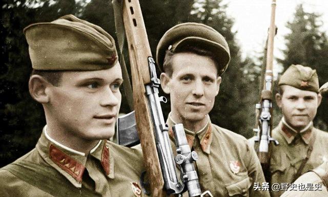 二战各参战国兵员数据对比，苏联动员人数最多，波兰死亡率最高