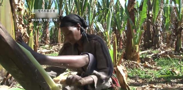 非洲穷人一周收入16块，捡牛粪当燃料，饿了只能吃芭蕉树！纪录片