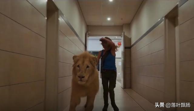 狮王争霸，这7部狮子经典电影，哪只是你喜欢的狮子？