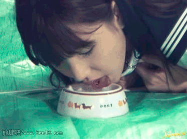 日本妹子狗盆喝水