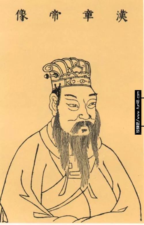 汉章帝刘炟总体上是个合格的君主