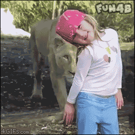 小姑娘被狮子吓到