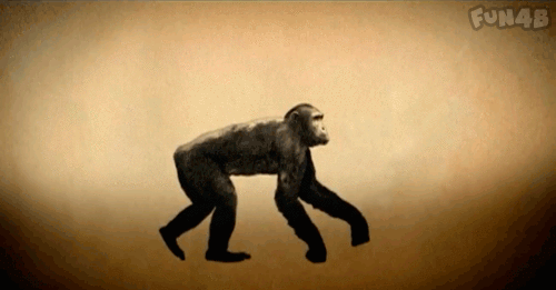 人类的进化：从猴子变成人
